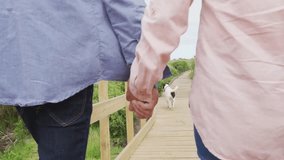 Senior couple following dog walking coastal boardwalk while social media likes rising around them. Romance, companionship, serenity, outdoor, leisure, connection, affection - Powered by Shutterstock - Get 15% off with code: PIKWIZARD15