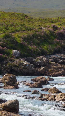 Clear river water rushes over rocks, surrounded by green hills and wildflowers, daylight, steady shot