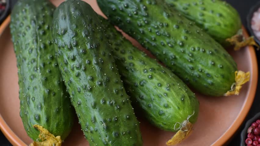 Fresh raw whole cucumbers, an ingredient for preparing salads and vegetarian dishes. Green fresh cucumbers as a backdrop for your design.