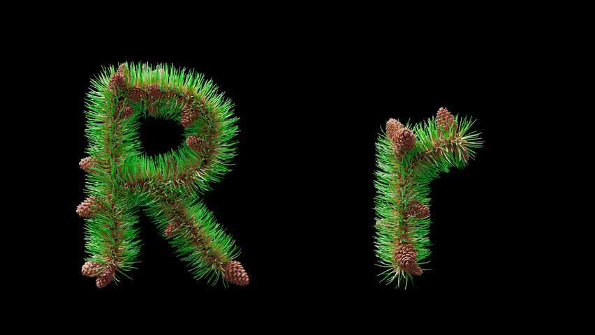 3D animation of uppercase and lowercase letter R designed from pine needles and cones, transparent background. Festive decorative alphabet perfect for eco branding, Christmas and New Year.