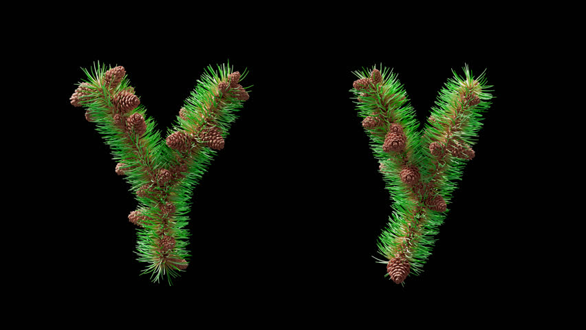 3D animation of uppercase and lowercase letter Y styled from pine needles with cones, alpha channel. Festive alphabet symbol perfect for New Year greetings, eco projects, and Christmas art.