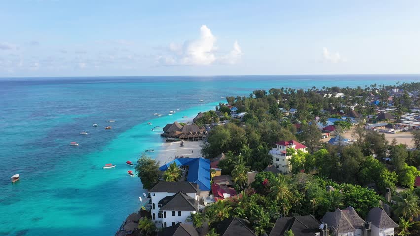 Beautiful beach view with people enjoying the sun and palm trees in a tropical paradise