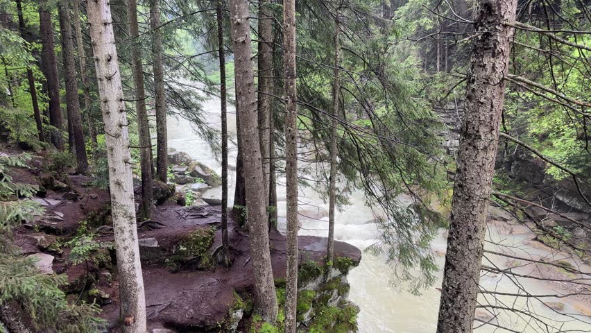 Mountain river leaking in canyon-like valley with steep rocky banks and trunk of fallen tree without bark stuck on stones in a riverbed, top view while panning in spring rainy day
