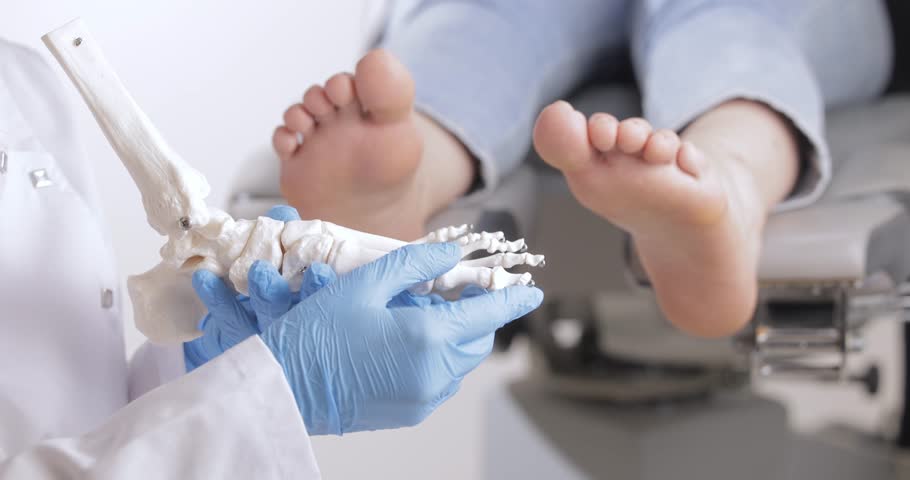 Podiatrist examining foot model with patient in background.