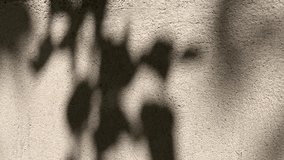 Shadow of leaves on concrete wall surface - Powered by Shutterstock - Get 15% off with code: PIKWIZARD15