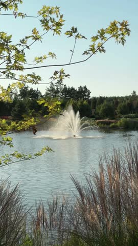 Vertical screen fountain in the middle of a pond reeds sway in the wind calm atmosphere beautiful landscape design and harmony with nature
