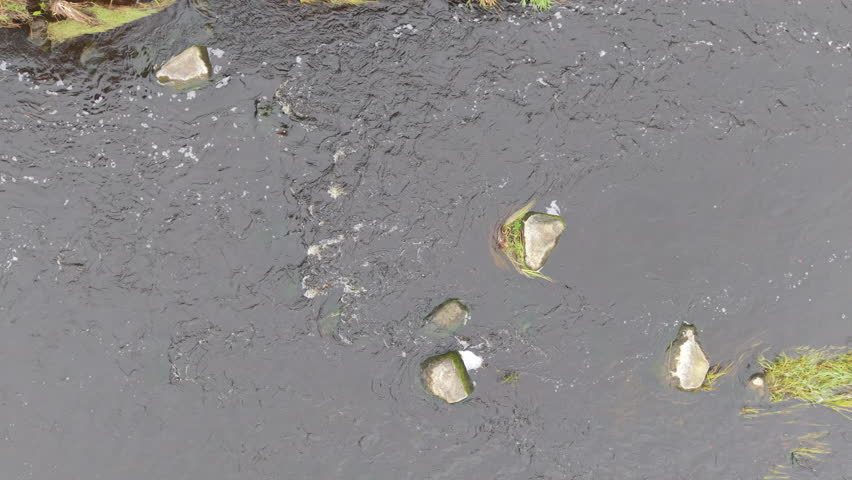 Aerial footage of a muddy river with turbid brown water flowing over a rocky, shallow riverbed with scattered stones and green vegetation. Top-down view of a natural freshwater stream