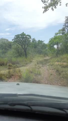 pov: car in a unpaved road in piaui