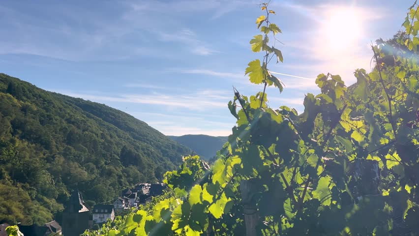 View over Bacharach on the Rhine while bell ringing in evening light, Rhineland-Palatinate, Germany