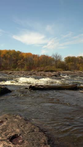 Autumn river landscape with gentle rapids flowing over rocks. Trees with yellow and orange leaves line the riverbank under a bright blue sky, creating a calm and scenic seasonal view.