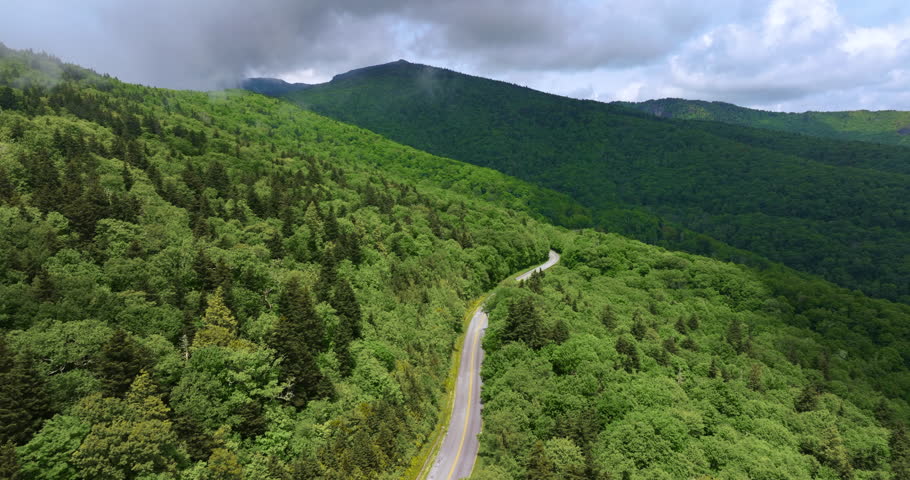 Blue Ridge Parkway road in summer woods of Appalachian mountains with green canopies in colorful forest. Road trip driving in wild nature in summertime season