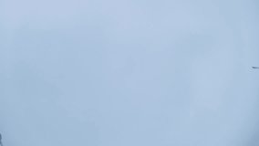 Stop motion video animation Sustainable responsible holiday decor. Female hand painting year number 2025 painted on window glass indoor at home. Christmas winter decoration. White pattern. Snow art - Powered by Shutterstock - Get 15% off with code: PIKWIZARD15