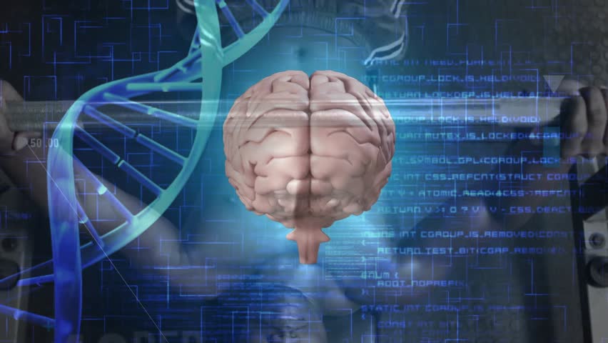 On start brain hologram rotating while code rising and DNA helix pulsing showing bench press data. Neuroscience, technology, digital, fitness, innovation, research, biotech - Powered by Shutterstock - Get 15% off with code: PIKWIZARD15