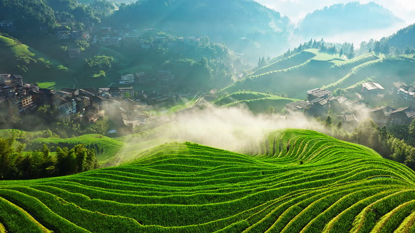Aerial shot of the beautiful green terraced rice fields and a traditional village in the morning mist, Guilin, China. 