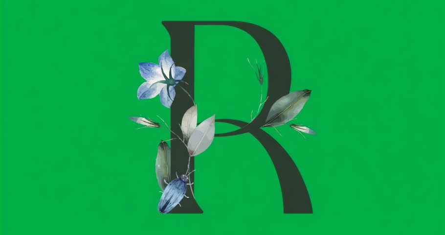 Showcasing uppercase R featuring gray botanical elements resting static on transparent background. Typography, design, ornament, botanical, illustration, artistic, decor