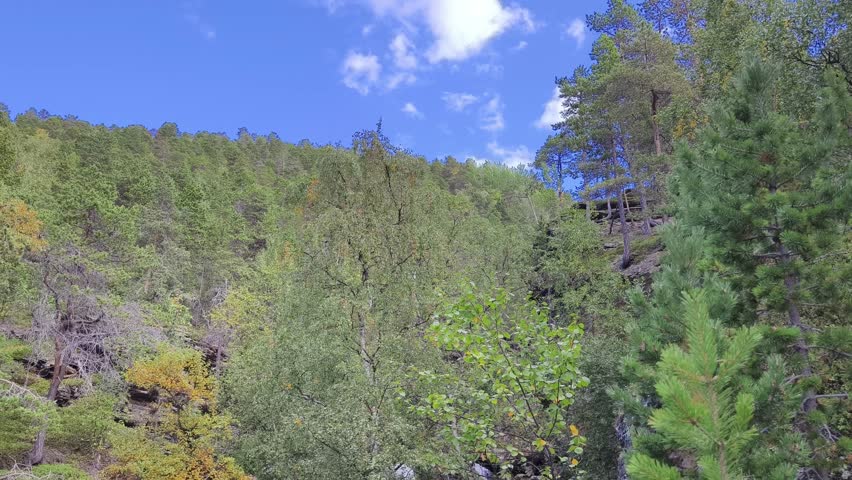 Waterfall in the wild nature of northern Norway	