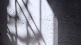 Soft shadows of leaves on the window frames moving gently across a textured white wall in natural daylight, creating a calm and minimalistic aesthetic for abstract or background footage - Powered by Shutterstock - Get 15% off with code: PIKWIZARD15