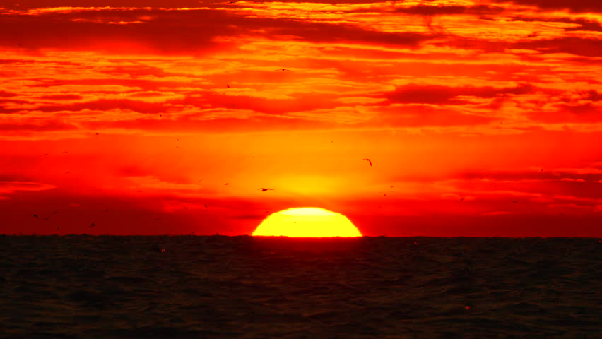 Sunset Birds Ocean Bright Sunlight colors sky above horizon at sea for dusk nature beauty