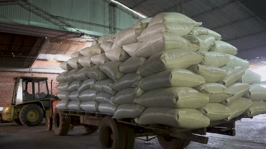 Panoramic of Sacks filled with yerba mate stored in an agricultural production agricultural farm
