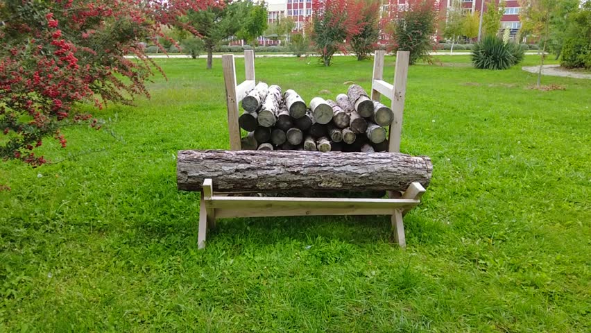 A woodpile on a green lawn is drying in the autumn sun.