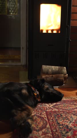Dog is sleeping on the floor in front of oven with fire.