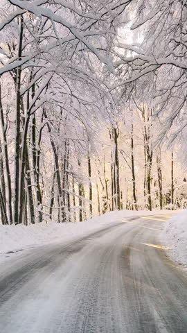 SLOW MOTION: Driving along plowed road surrounded by snow-covered forest trees. Beautiful winter day after a fresh snowfall. Careful drive along slippery winding winter road through snowy woodland.