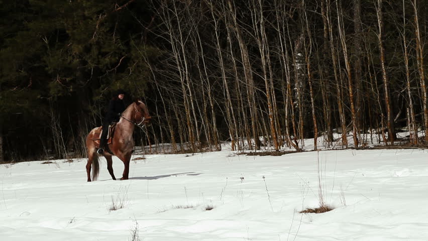 female cowboy rides a horse at a gallop in winter