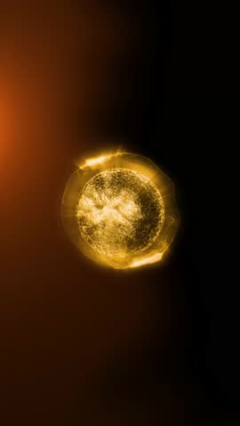 Cells of a living organism divide, clearly demonstrating the process of uncontrollable growth and reproduction of cells and bacteria.
