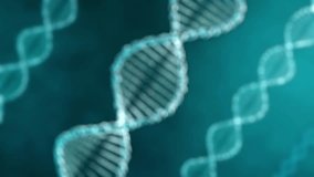 Abstract 3D DNA helix rotating under microscope, futuristic modern genetics information research and human health development concept, protein strand - Powered by Shutterstock - Get 15% off with code: PIKWIZARD15