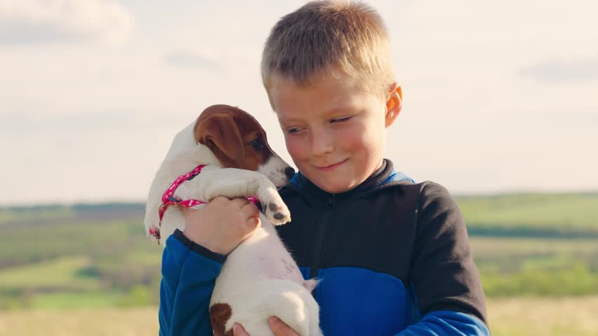 Dog sits in little boy