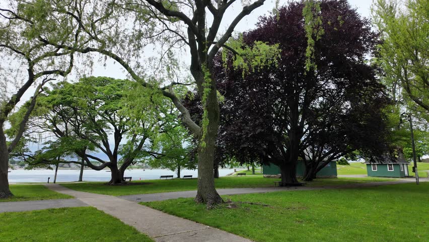 Trees in a park in Salem 
