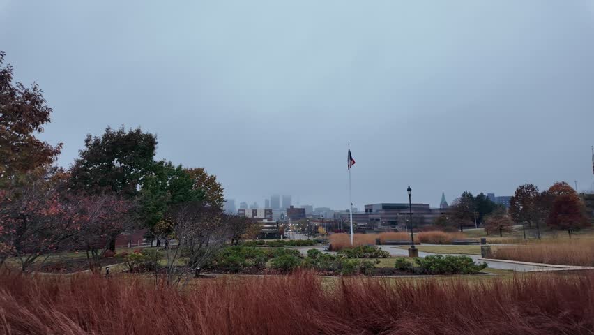 Autumn Trees during a fog