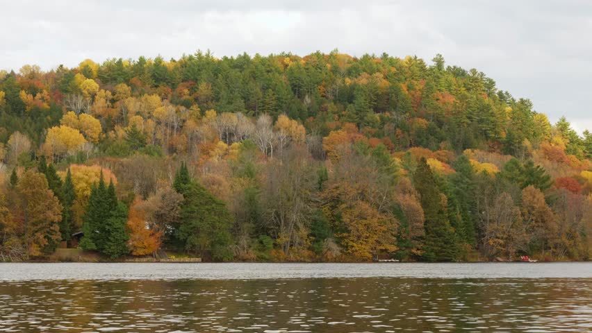 Autumn scenery features a hillside adorned with colorful leaves, mirrored in calm waters, creating a peaceful atmosphere of nature
