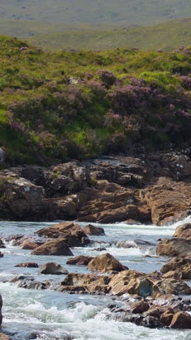Wide panning shot of river rapids, rocks, wildflowers, and lush green hills in daylight