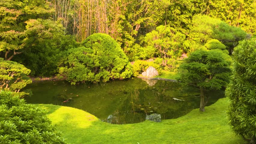 View of Magnificent Vegetation inside the Japanese Tea Garden on a Sunny Day in Golden Gate Park, San Francisco, California, USA