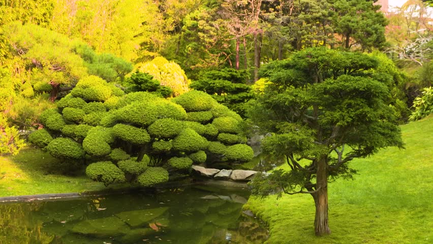View of Magnificent Vegetation inside the Japanese Tea Garden on a Sunny Day in Golden Gate Park, San Francisco, California, USA