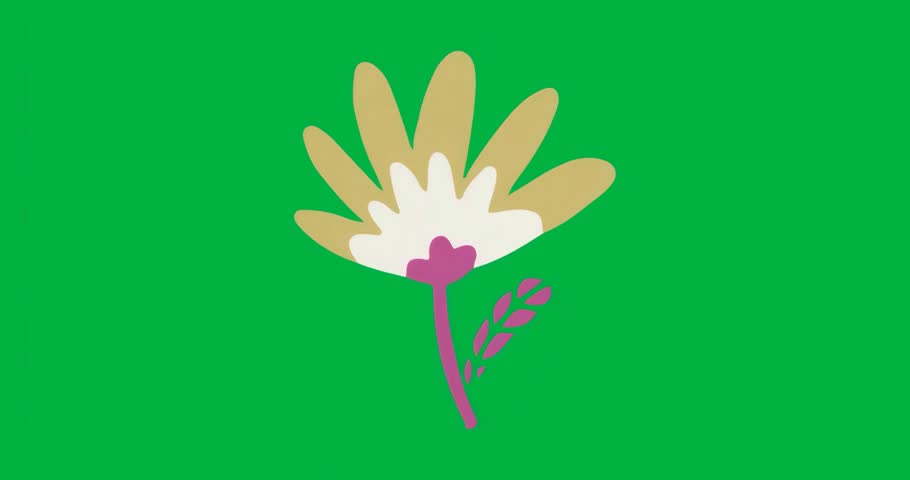 Animation starting with stylized flower staying still on transparent background for design showcase. Botanical, floral, minimalistic, vibrant, nature-inspired, elegant, decorative