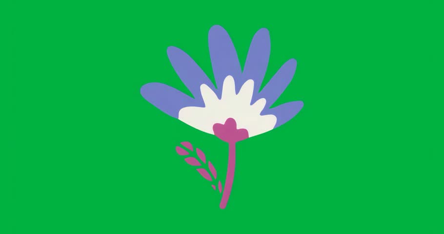 Upon frame loading, flower icon shimmering along petals on transparent background for decoration. Floral, decorative, stylized, vibrant, minimalistic, graphics, design