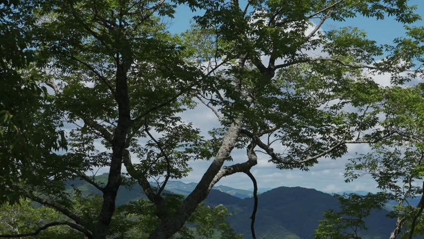 From the mountaintop of Bitchu Matsuyama Castle, one of Japan