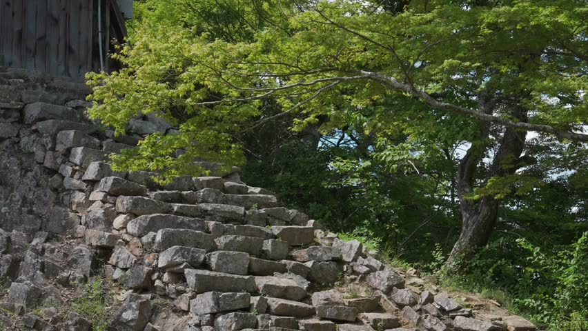 Bitchu Matsuyama Castle's two-story yagura (Japan's Top 100 Castles): Ancient wooden pavilion-style structure on mountaintop rocks and stone walls, with lush trees and blue sky.