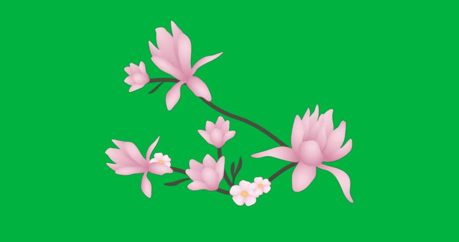Designer placing transparent floral branch into marketing slide, with gradient blossom animations. Botanical, floral, nature, decorative, artistic, ui, minimalist