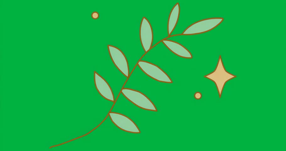 Graphic designer applying plant branch on transparent background with orange circles and star. Botanical illustration, organic design, decorative elements, natural motifs, minimalistic style, vector