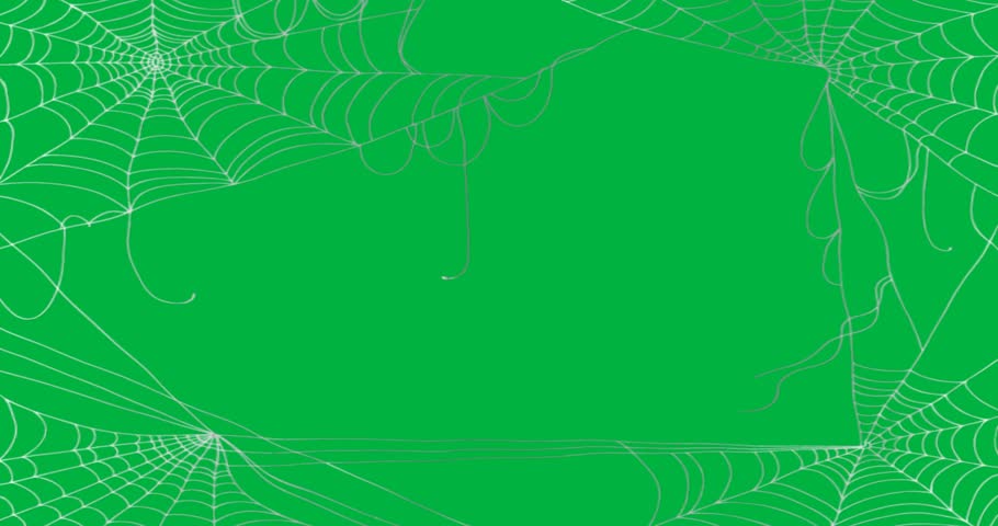 graphic designer placing spider web frame on transparent background, showing corner web loops. Illustration, graphic design, line art, monochrome, minimalist, decorative, vector