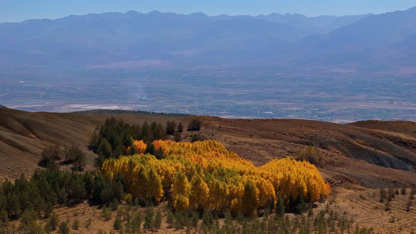 Aerial View of Colorful Autumn Trees Spreading Across the Mountain Landscape