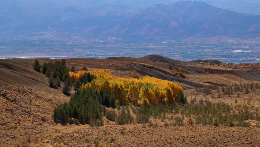 Aerial View of Colorful Autumn Trees Spreading Across the Mountain Landscape