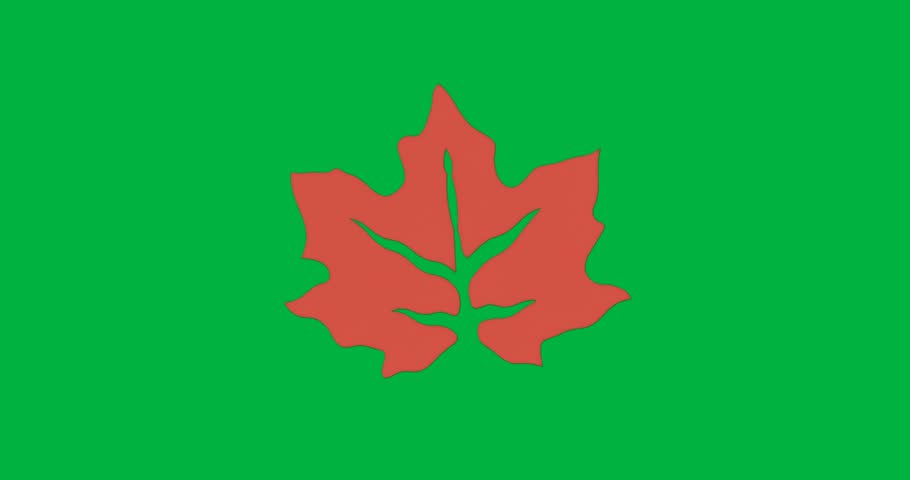 Graphic designers placing orange leaf vector on transparent background, showing vein cutouts. Nature, botanical, illustration, minimalism, autumn, seasonal, vibrant