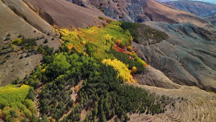 Aerial View of Colorful Autumn Trees Spreading Across the Mountain Landscape