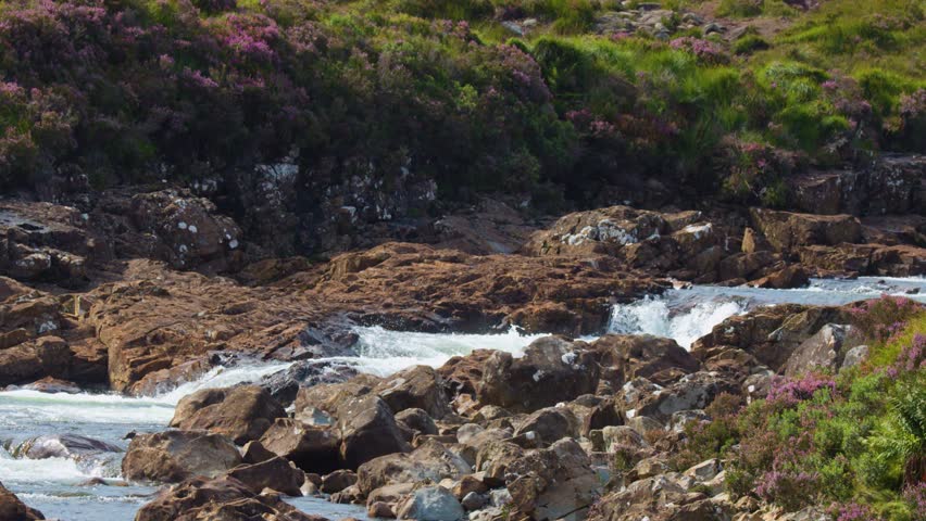 Clear daylight captures fast-moving river rapids, rocky banks, wildflowers, and green hills, static camera