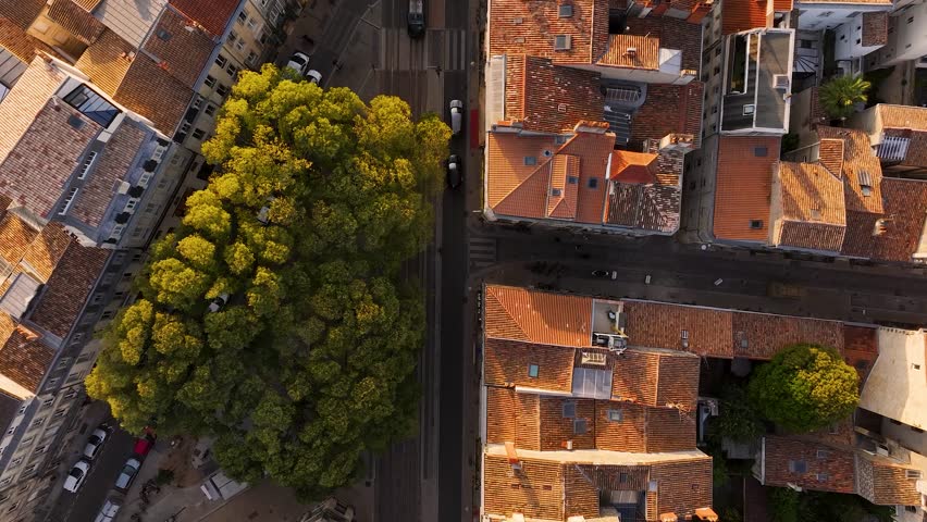 Aerial view of orange rooftops contrasting with dark streets, creating a warm textural contrast in a dense urban setting, Bordeaux, Nouvelle-Aquitaine, France.