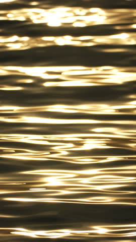 Water reflections golden sunlit water surface ripples gently, serene natural abstract. Vertical video